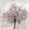 Blossoms of Spring II Poster Print by Irene Weisz - Item # VARPDX17084